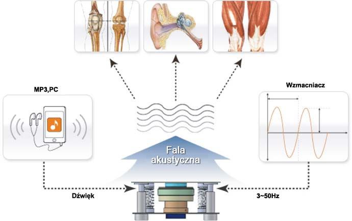Platforma wibracyjna SONIC
